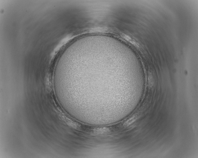 X0000073441454200608111313