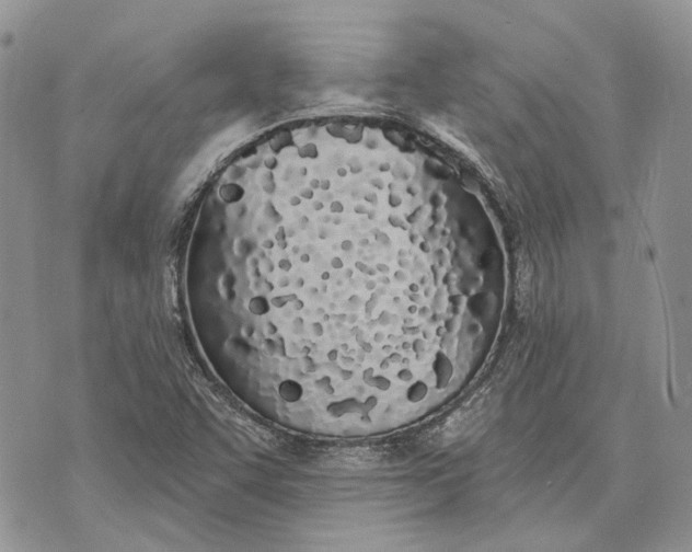 X0000073441455200608111313