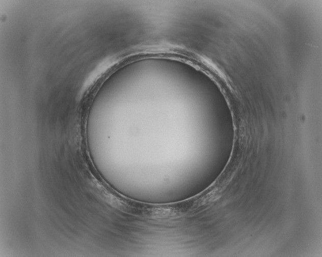 X0000073441456200608111313