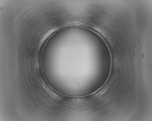 X0000073441458200608111313