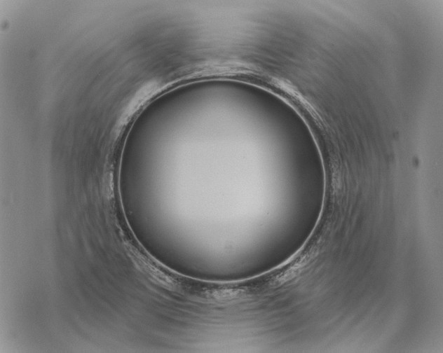 X0000073441459200608111313