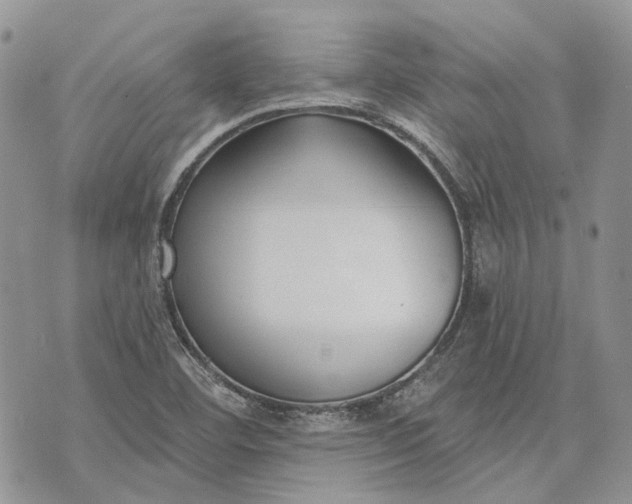 X0000073441460200608111313