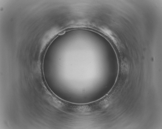 X0000073441464200608111313