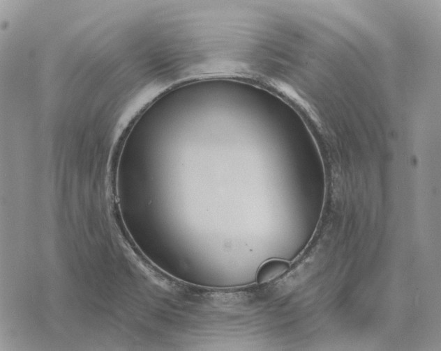 X0000073441469200608111313