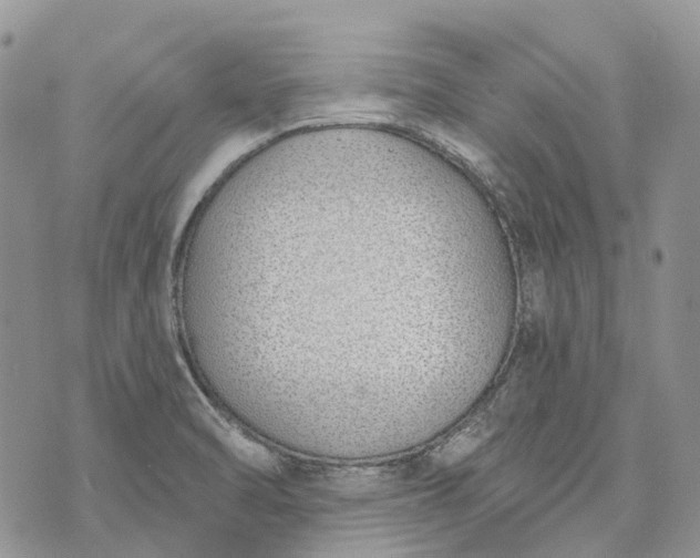 X0000073441470200608111313