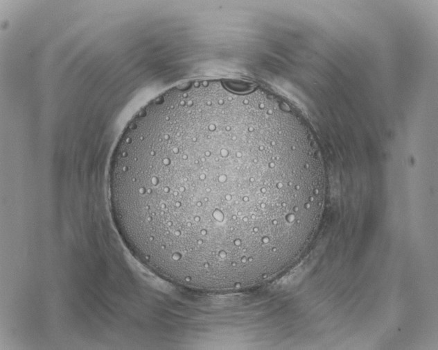 X0000073441471200608111313