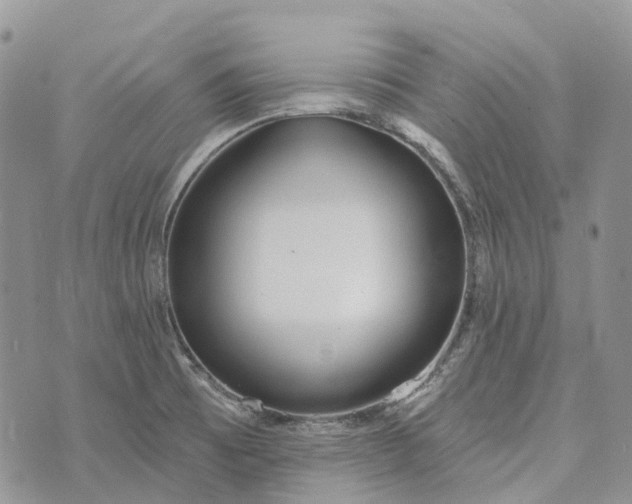 X0000073441473200608111313