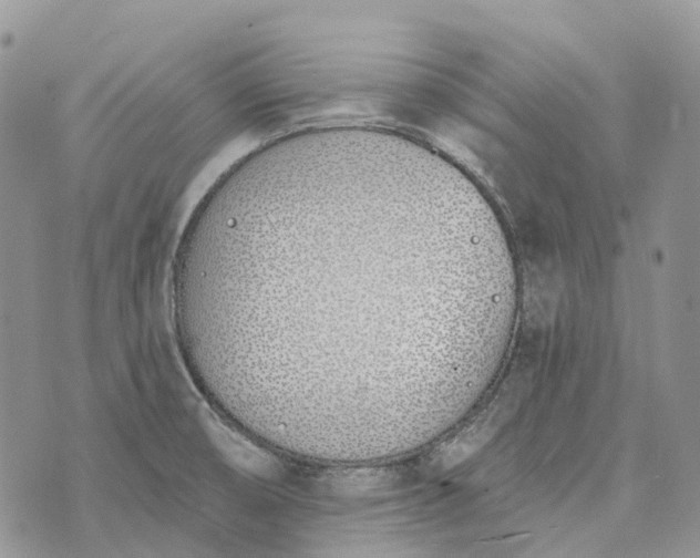 X0000073441474200608111313