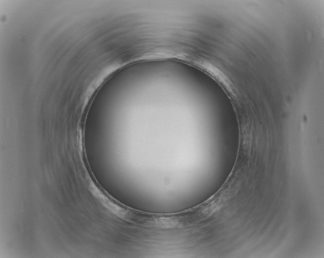 X0000073441476200608111313