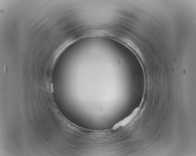 X0000073441481200608111313