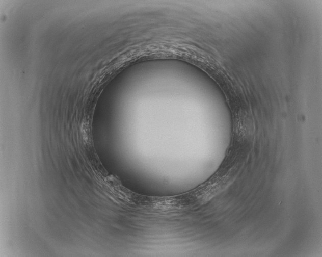 X0000073441490200608111312