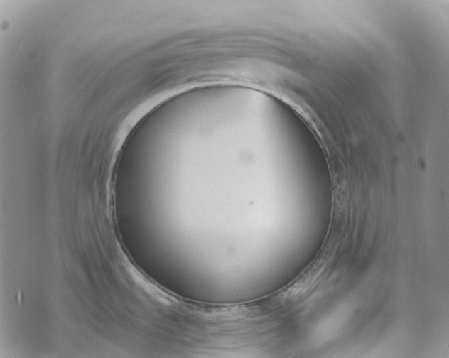 X0000073441535200608111312