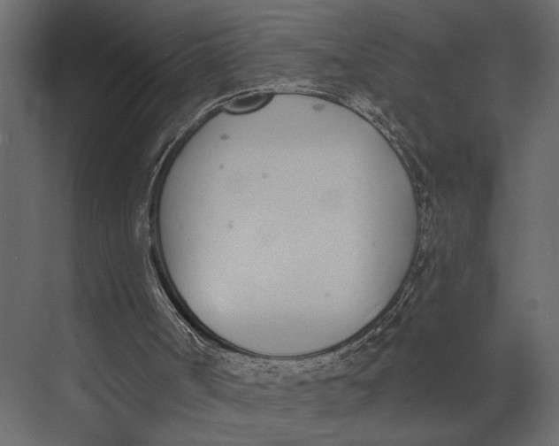 X0000073440002200608181225