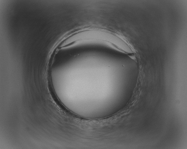 X0000073440007200608181225
