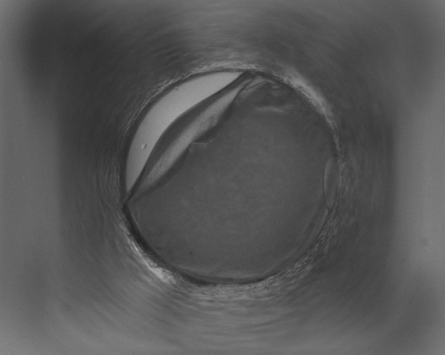 X0000073440009200608181225