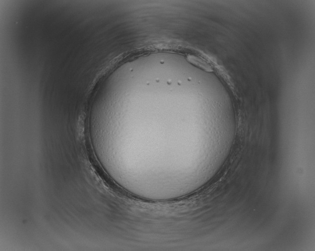 X0000073440010200608181225