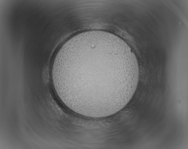 X0000073440012200608181225