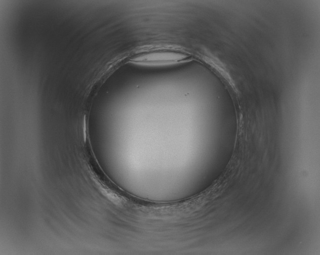 X0000073440013200608181225