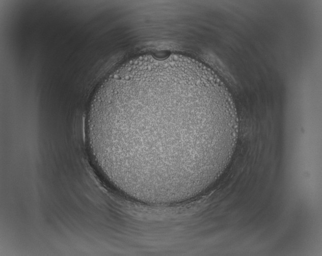X0000073440014200608181224