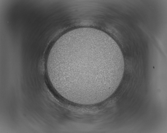 X0000073440016200608181224