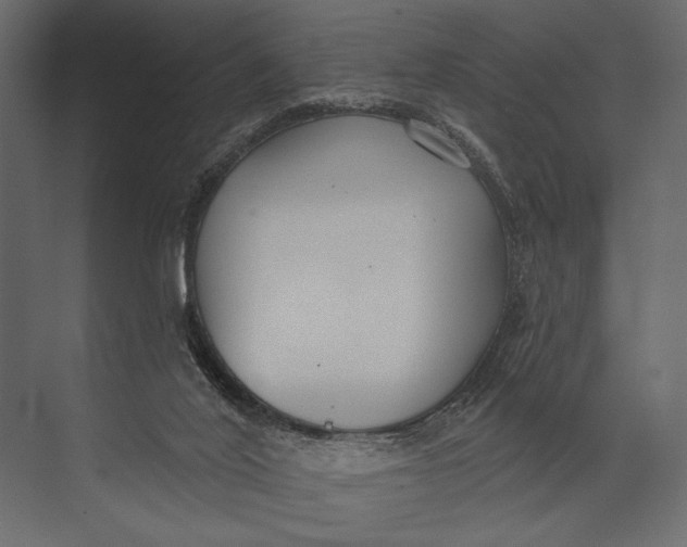 X0000073440020200608181224