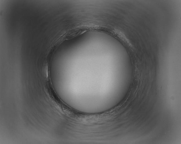 X0000073440021200608181224