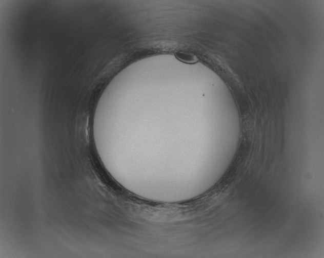 X0000073440024200608181224