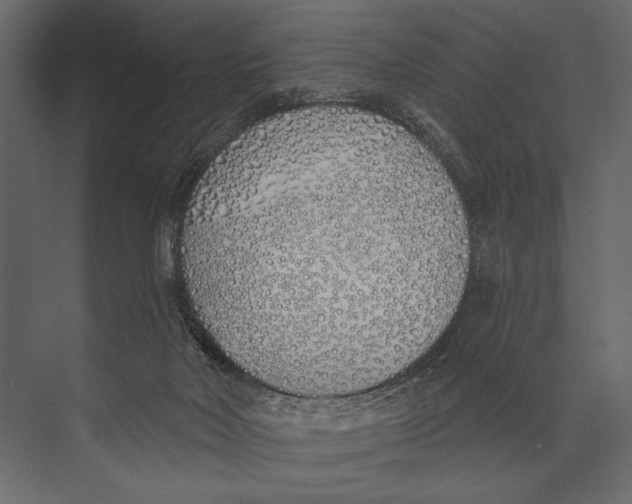 X0000073440026200608181224