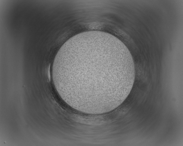 X0000073440028200608181224