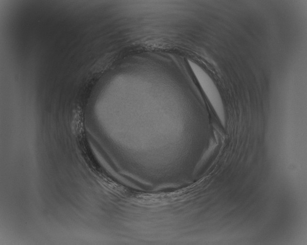 X0000073440029200608181224