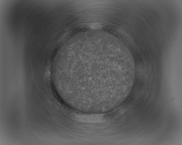 X0000073440032200608181224