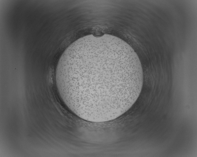 X0000073440038200608181224