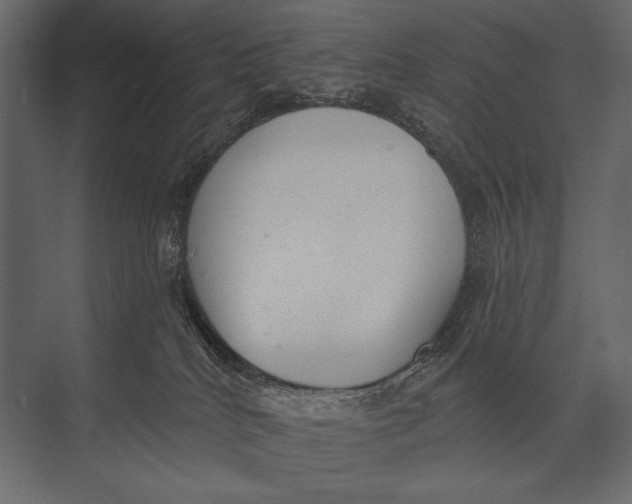X0000073440040200608181224