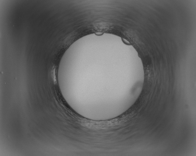 X0000073440042200608181224