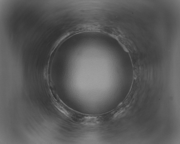X0000073440052200608181223