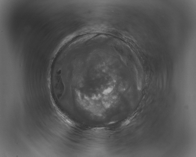 X0000073440054200608181223
