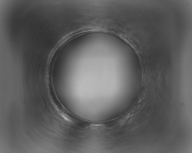 X0000073440055200608181223