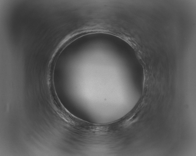X0000073440056200608181223