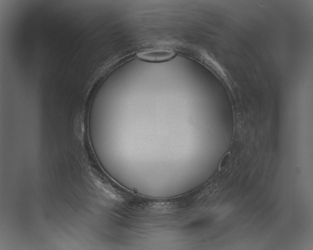 X0000073440059200608181223