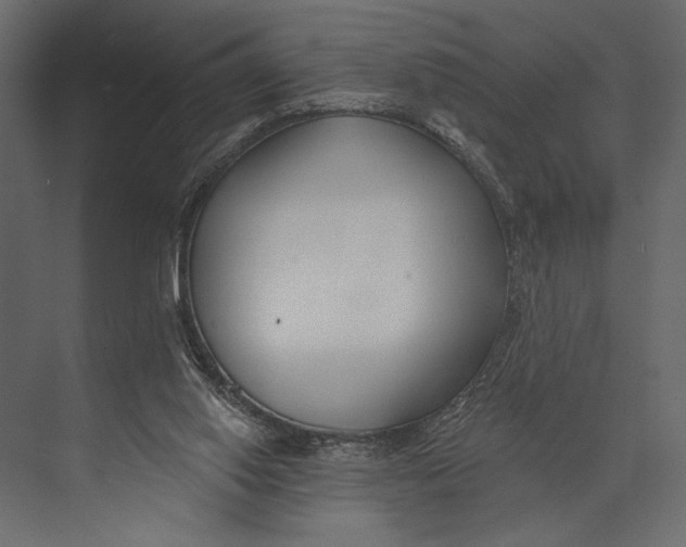 X0000073440062200608181223