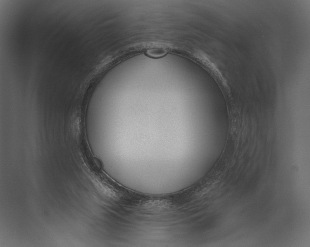 X0000073440063200608181223