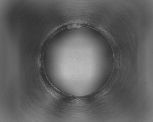 X0000073440064200608181223