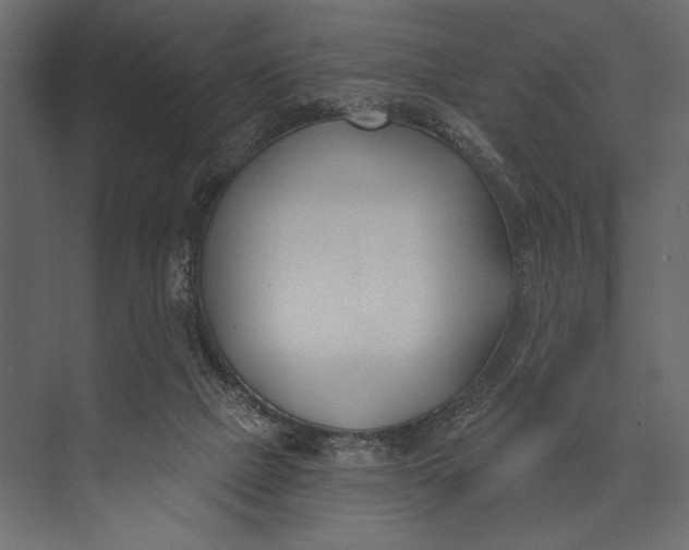 X0000073440073200608181224
