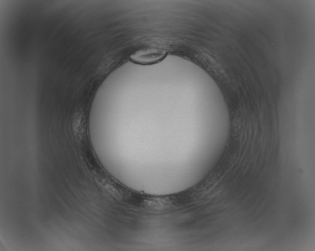 X0000073440079200608181224