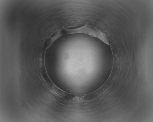 X0000073440080200608181224