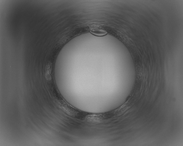 X0000073440082200608181224