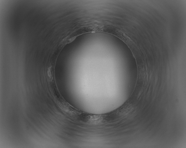 X0000073440088200608181224