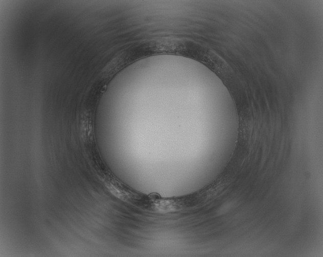 X0000073440091200608181224