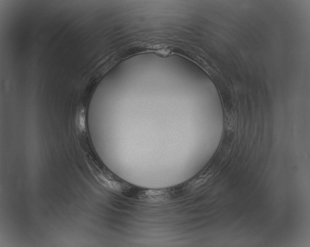 X0000073440095200608181224