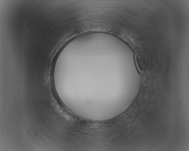 X0000073440098200608181223